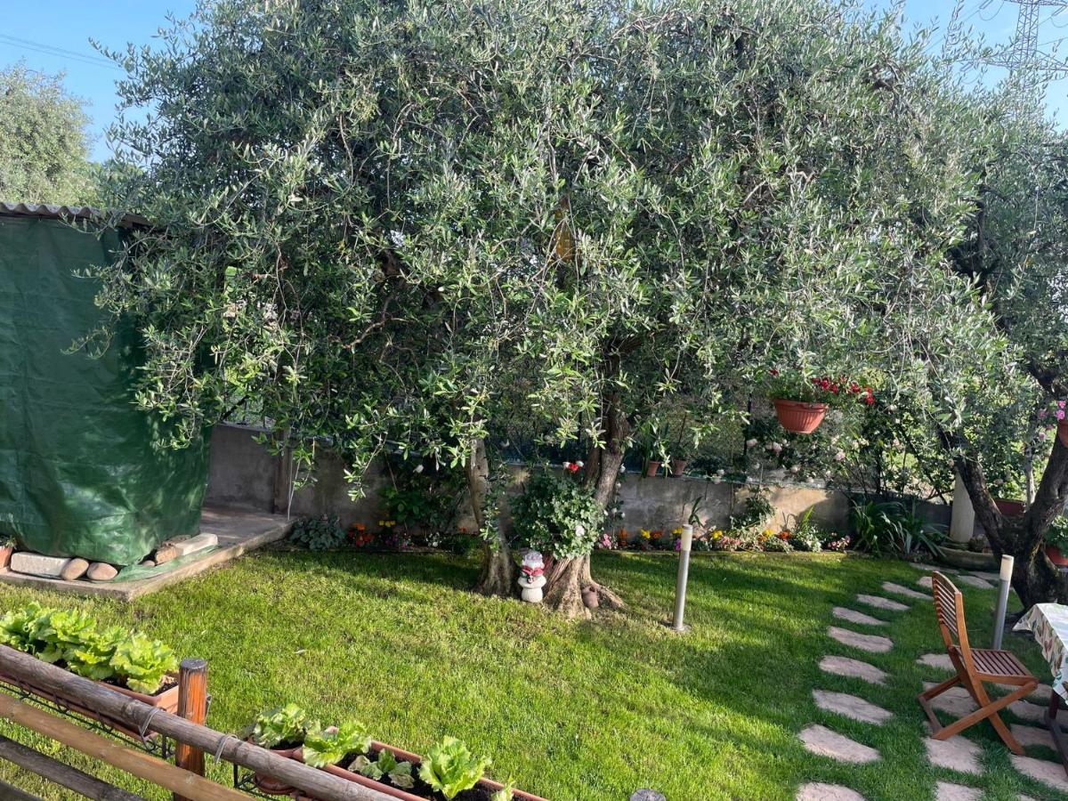 Casa Vacanze Collina Del Lago パストレンゴ エクステリア 写真